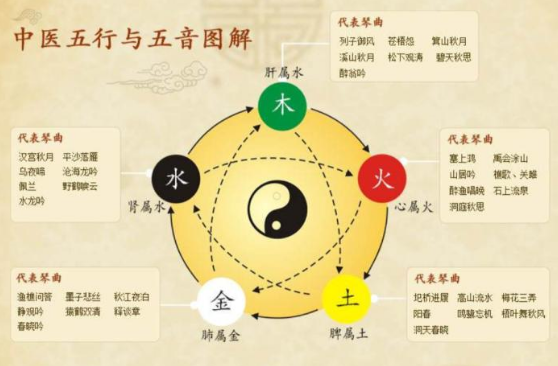 奇恒之腑与传化之的区别是什么？