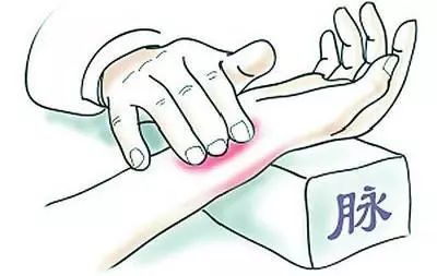 奇恒之腑，奇在何处？