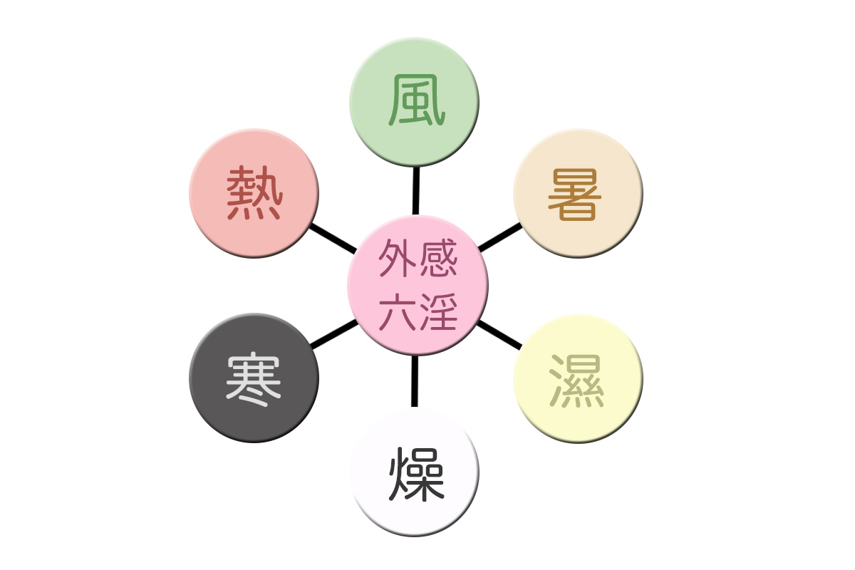 何谓“六淫”?其致病有什么特点?