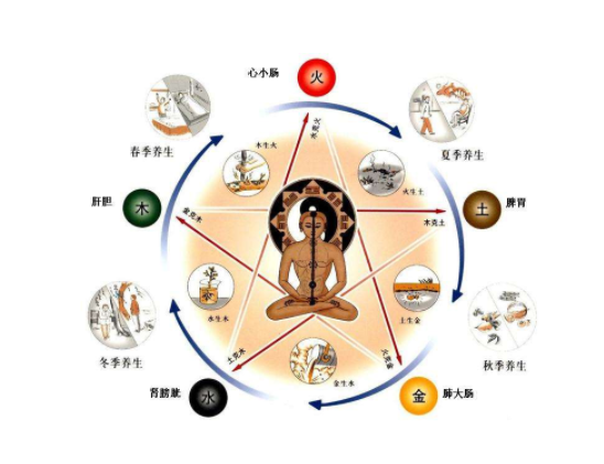 如何利用一天中阳气在肌表的盛衰变化来养生防病?