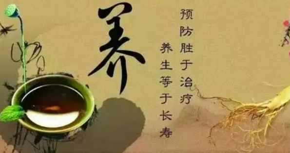 什么是营气与卫气？