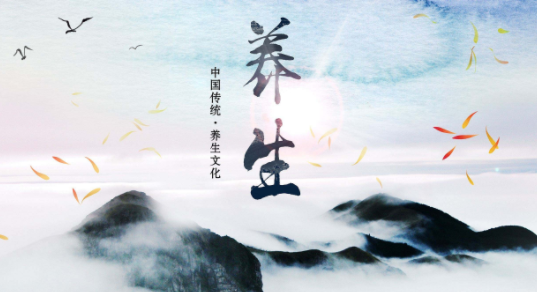 为何说“肺为气之主,肾为气之根”?