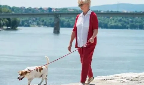 老年人心理健康与长寿关系如何