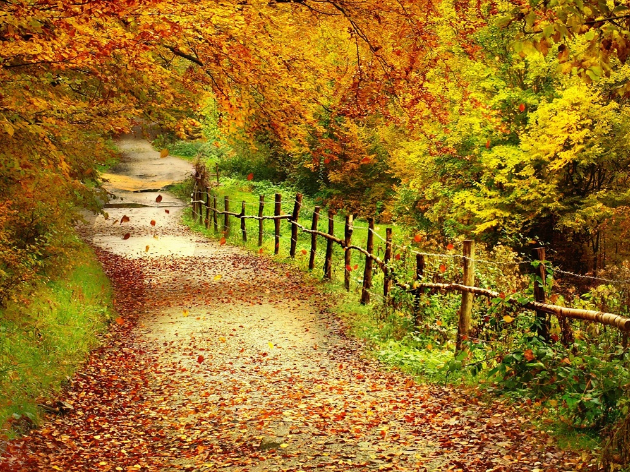 秋疖子如何防治