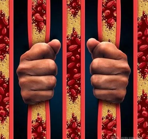 高血脂者有何饮食调养方法