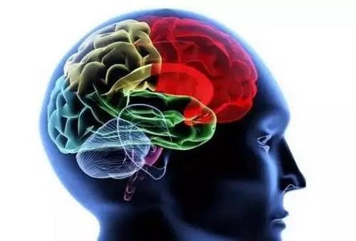 哪些因素可致大脑早衰