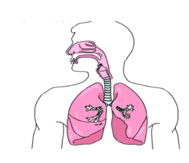老慢支常服抗生素好吗