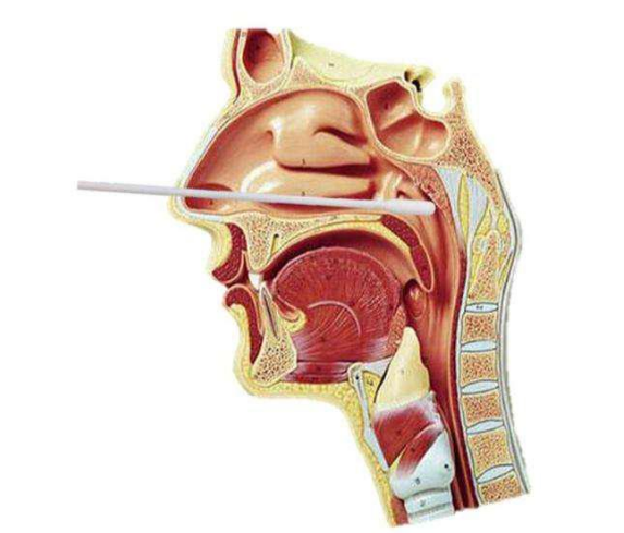 老慢支冬季如何防止发作