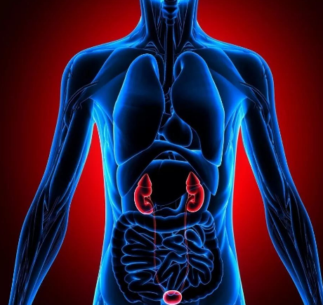 怎样防治慢性肾盂肾炎