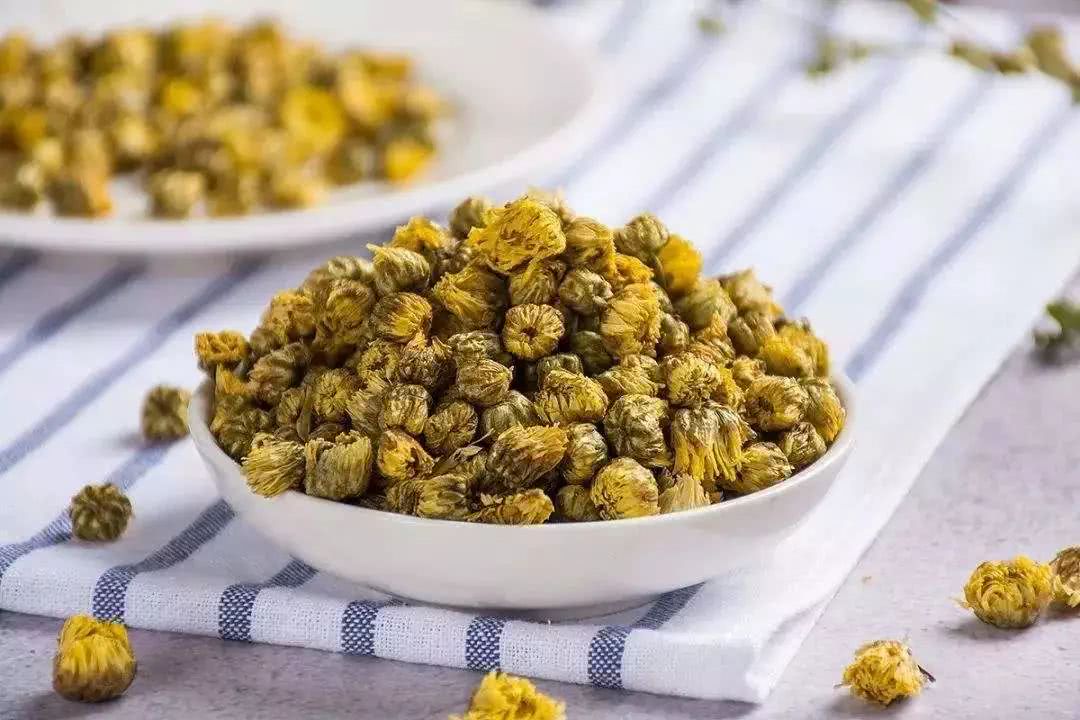 银翘散、桑菊饮治疗风热感胃为何组方用药不同？