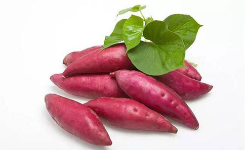 红薯的营养价值有哪些