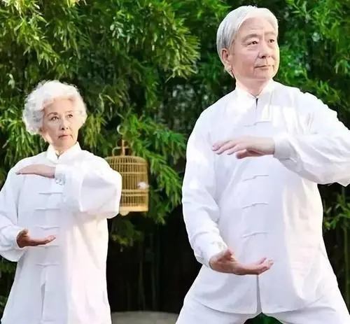 常练太极拳让老年人身体好吗