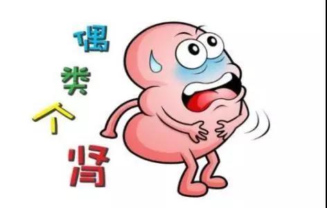 肾结石患者的饮食如何忌口