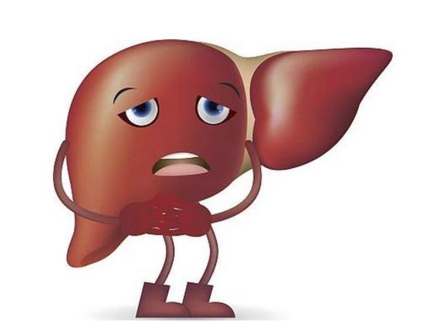 为什么胆道病患者忌食高脂肪食物