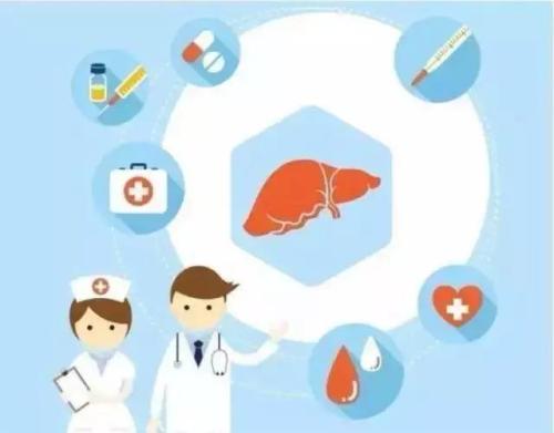 肝炎病人为什么应少食糖和肥肉