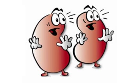 为什么肾脏病患者忌食香蕉