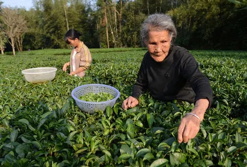 老年人便秘对性欲有影响吗