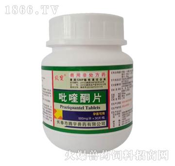 什么是抗血吸虫病药？