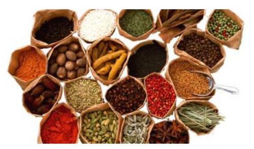 怎样服中药煎剂？