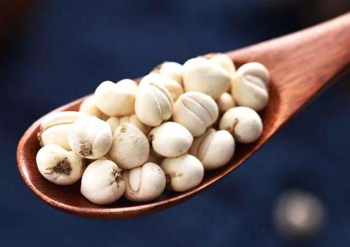 为什么止咳祛痰药里大多都有川贝母？