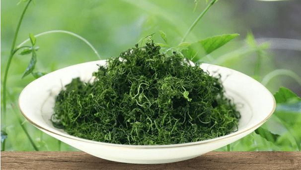 绞股蓝有什么功用？