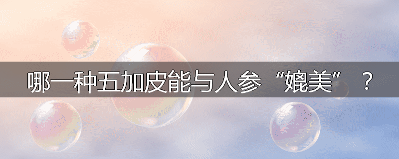 哪一种五加皮能与人参“媲美”？