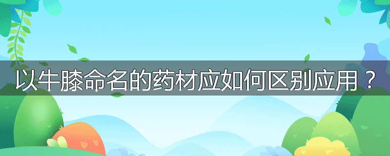 以牛膝命名的药材应如何区别应用？