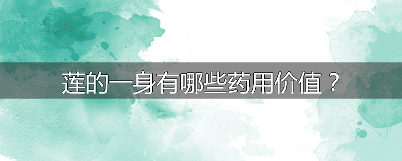 莲的一身有哪些药用价值?