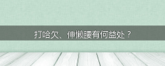 打哈欠、伸懒腰有何益处？