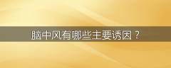 脑中风有哪些主要诱因？