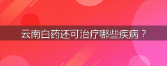 云南白药还可治疗哪些疾病?