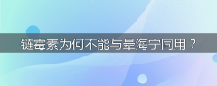 链霉素为何不能与晕海宁同用？