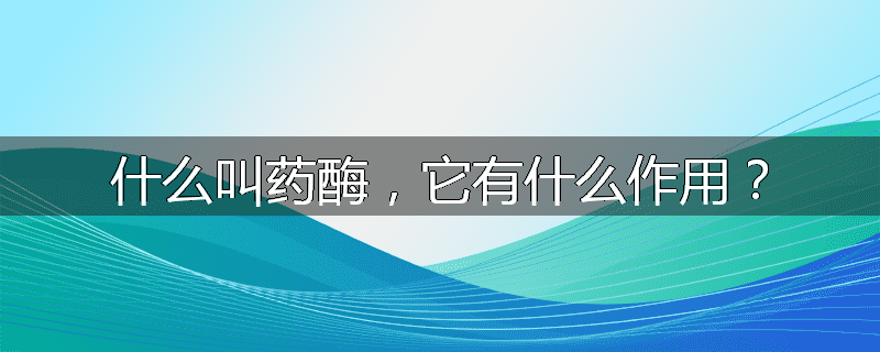 什么叫药酶,它有什么作用?