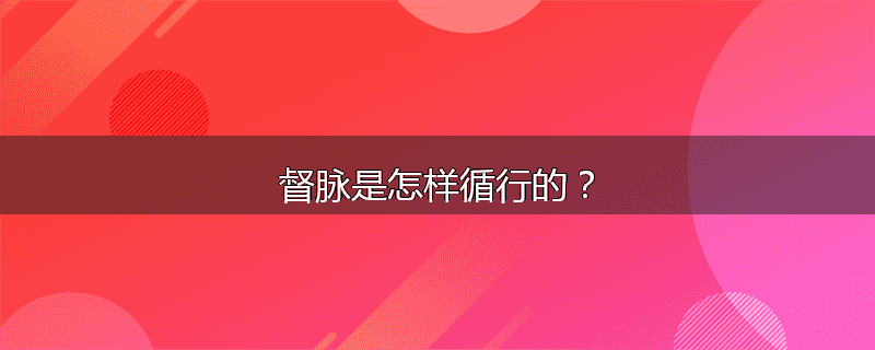 督脉是怎样循行的？