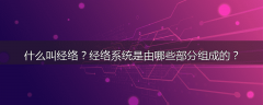 什么叫经络?经络系统是由哪些部分组成的?