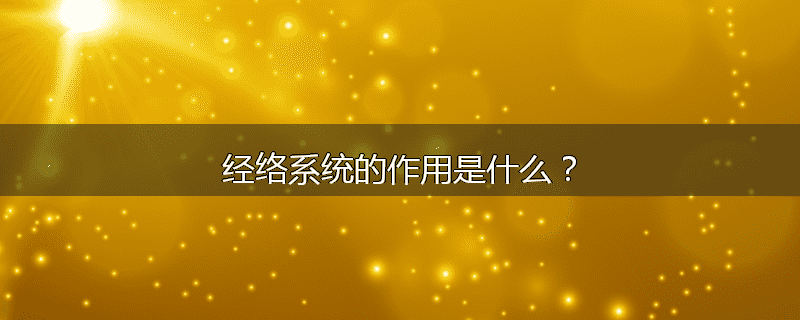 经络系统的作用是什么?
