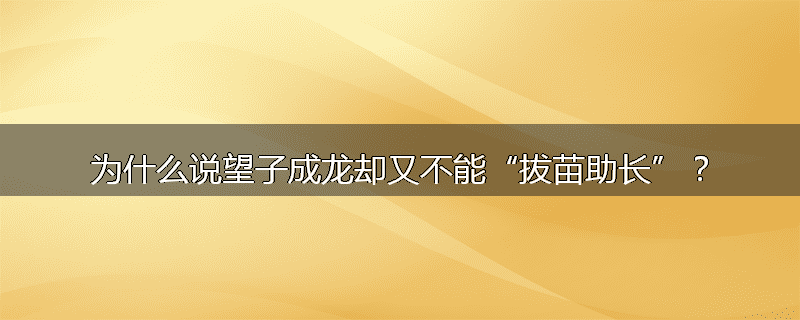 为什么说望子成龙却又不能“拔苗助长”？