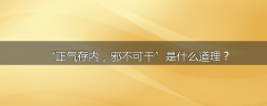 “正气存内，邪不可干”是什么道理？