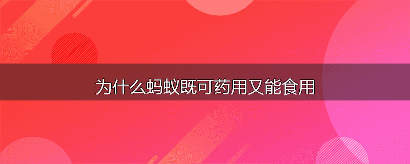 为什么蚂蚁既可药用又能食用