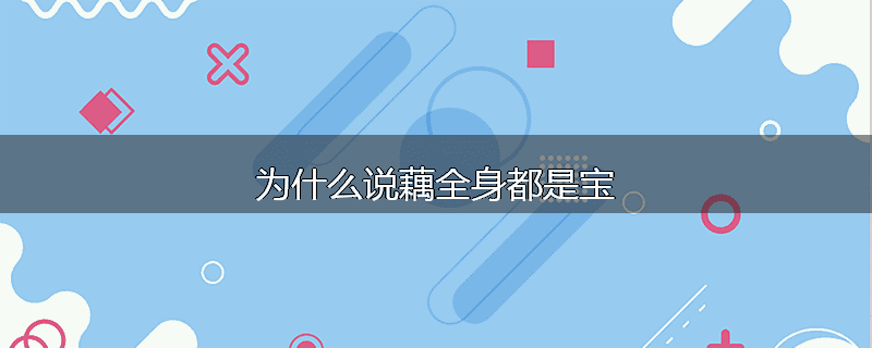 为什么说藕全身都是宝