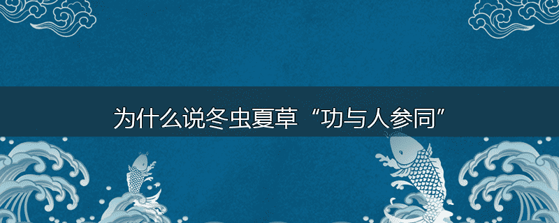 为什么说冬虫夏草“功与人参同”