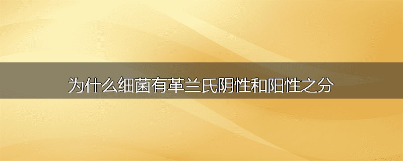 为什么细菌有革兰氏阴性和阳性之分