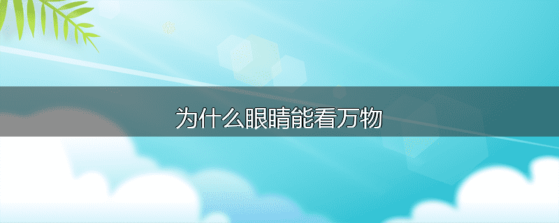 为什么眼睛能看万物