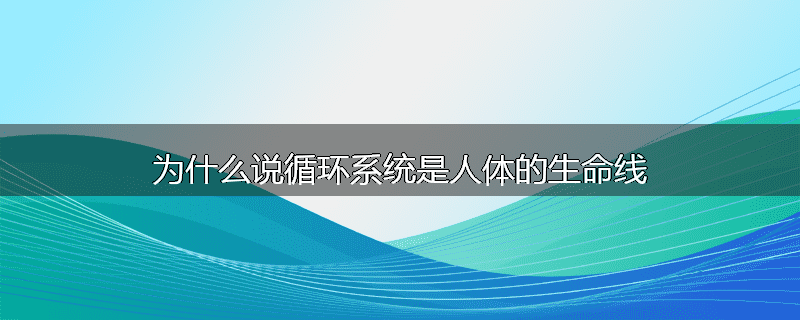 为什么说循环系统是人体的生命线