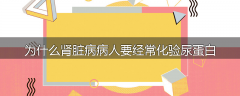 为什么肾脏病病人要经常化验尿蛋白