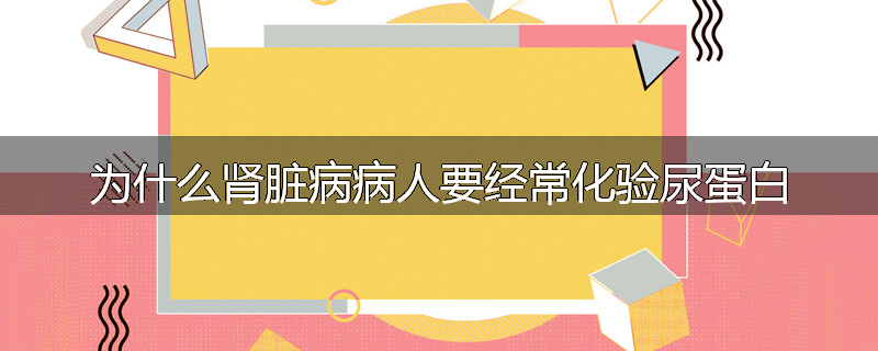 为什么肾脏病病人要经常化验尿蛋白