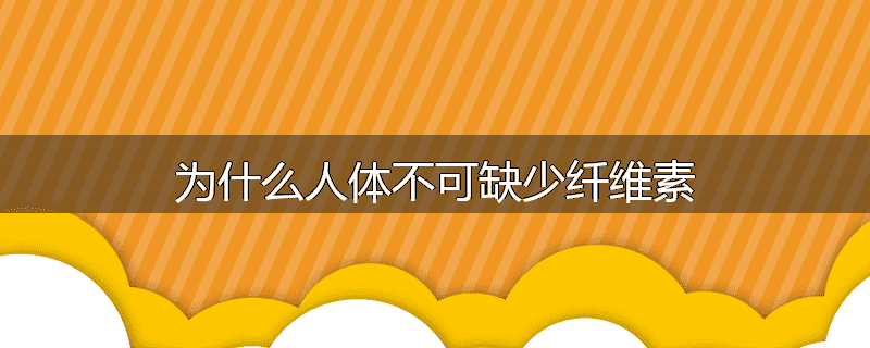 为什么松子和乌梅是老年人长寿保健食品