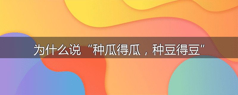 为什么说“种瓜得瓜,种豆得豆”