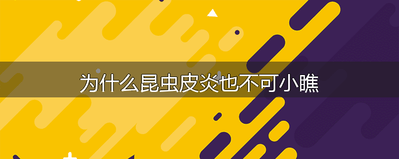 为什么昆虫皮炎也不可小瞧