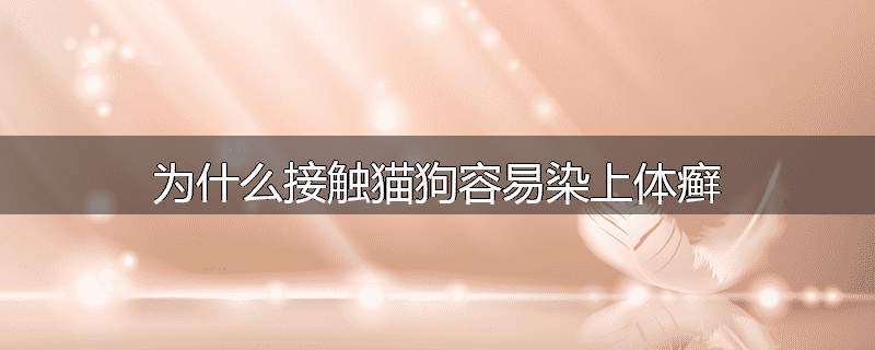为什么接触猫狗容易染上体癣